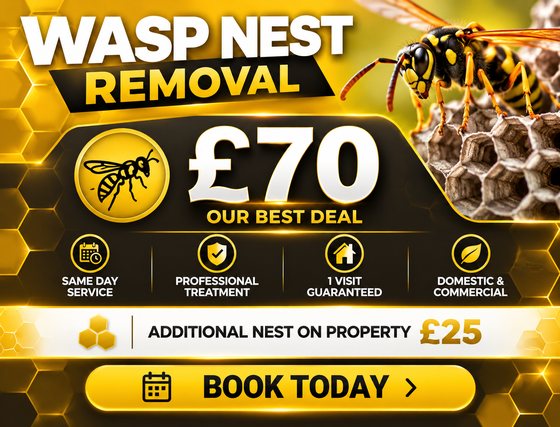 Wasp nest removal £70 fixed price, additional nest £25, same day service, one visit guaranteed, domestic and commercial