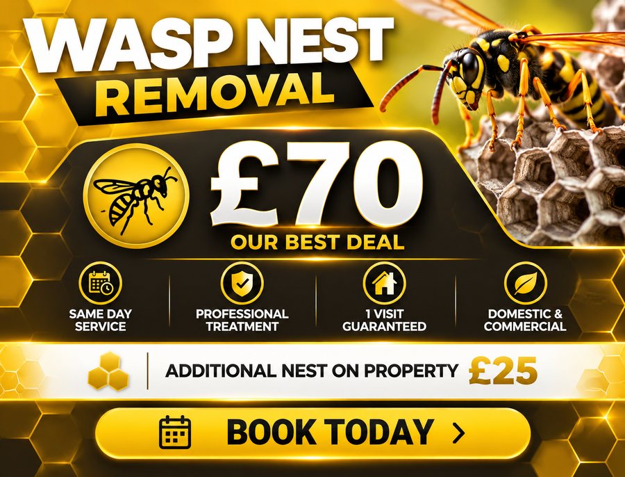 Wasp nest removal £70 fixed price, additional nest £25, same day service, one visit guaranteed, domestic and commercial