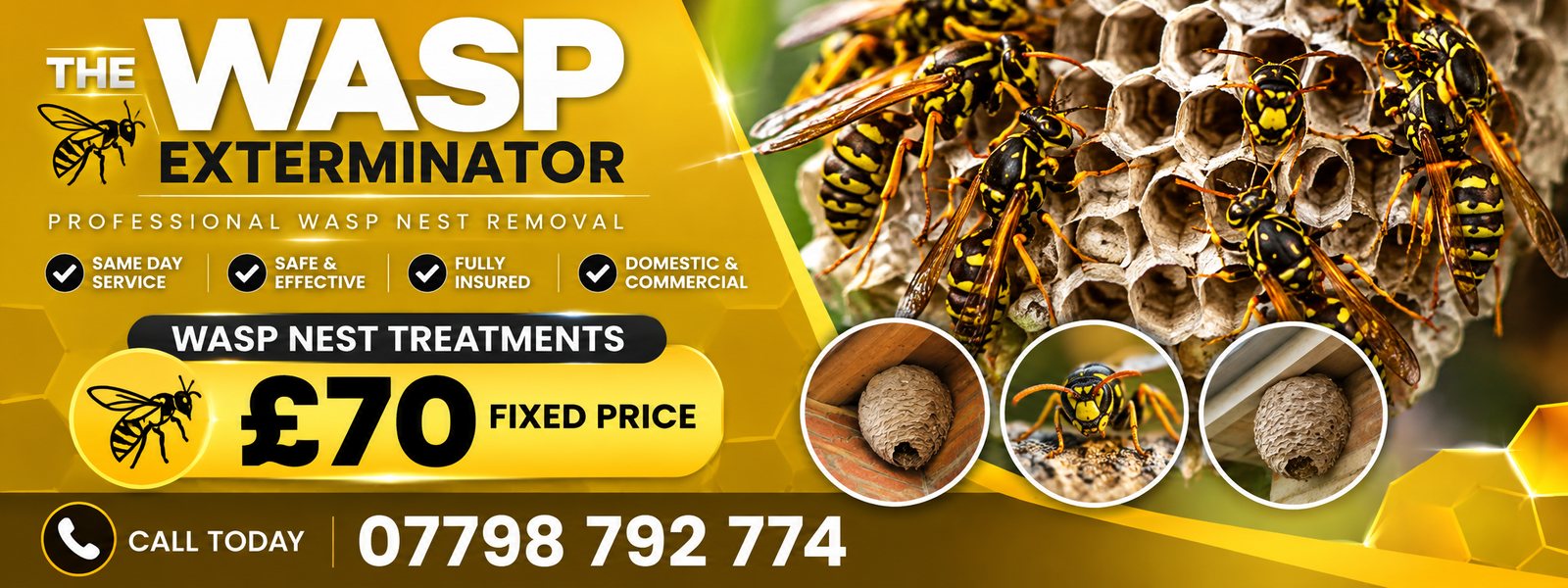 The Wasp Exterminator, professional wasp nest removal, same day service, £70 fixed price, call 07798 792 774